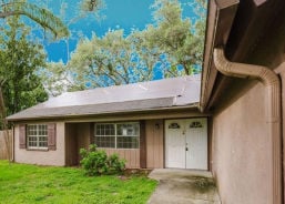 Single Family 5BR 3BA - 1243 ROYAL OAK DR, Dunedin, FL
