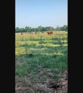Image not available