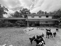Single Family 4BR 4BA - 230 HACKETT LN, Shirley, AR
