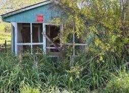 Single Family 2BR 1BA - 807 JAY ST, Cotulla, TX