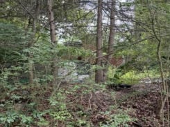 Single Family 3BR 2BA - 3 S And T Spirit Dr, Candler, NC